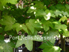 wholesale leafless gutters seattle wa wholesale leafless gutters seattle wa